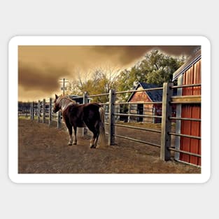 Small Horse and Barns 1B Sticker